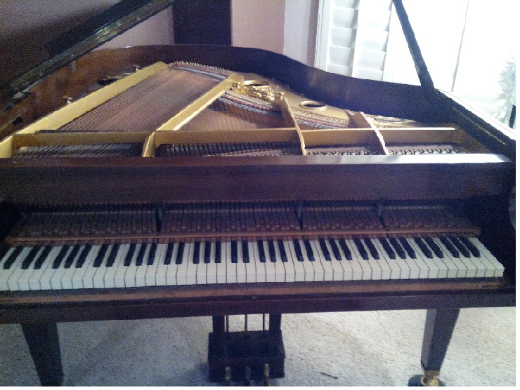 Brambach baby grand piano serial number search